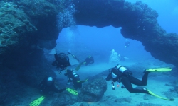 Coral Sub TÃ©nÃ©rife site de plongÃ©eLos Arcos