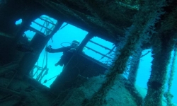 Coral Sub TÃ©nÃ©rife site de plongÃ©eEl Meridian